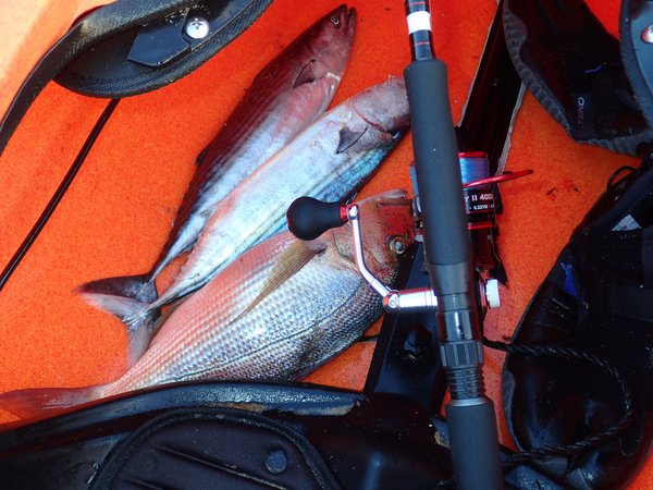 Skiathos & Skopelos - Adventure photo 46